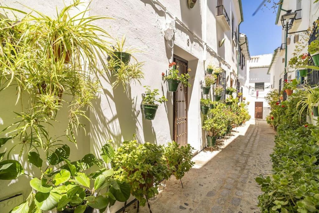 Casa Con Patio Y Terraza En Barrio Historico De La Villa, Junto Al Adarve Прієго-де-Кордова Екстер'єр фото