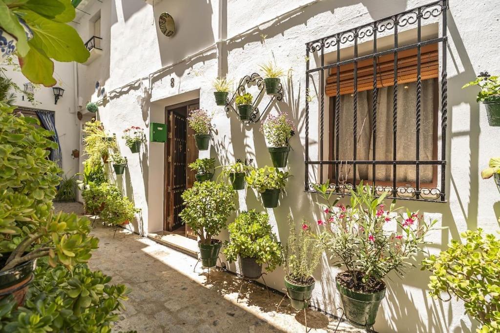 Casa Con Patio Y Terraza En Barrio Historico De La Villa, Junto Al Adarve Прієго-де-Кордова Екстер'єр фото